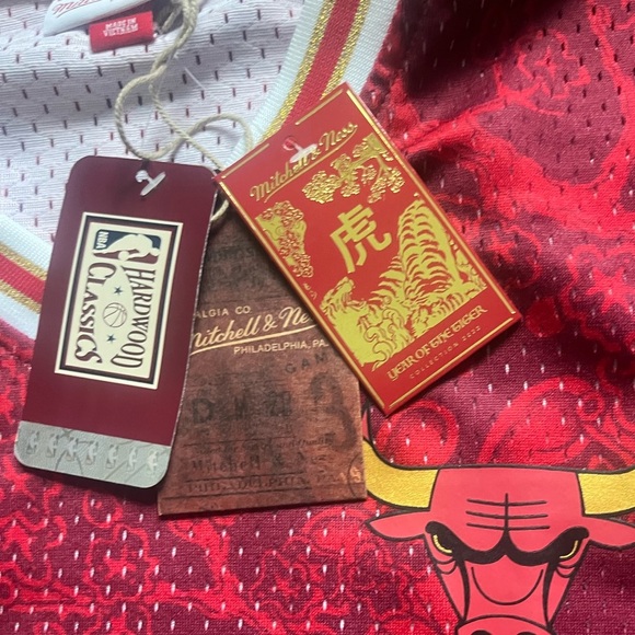 NBA Chicago Bulls Year of The Tiger Mesh Jersey - Picture 4 of 7
